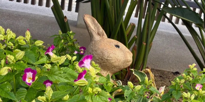 【導入事例】職員一人一人がカルテを見ることでリアルタイムに情報の共有